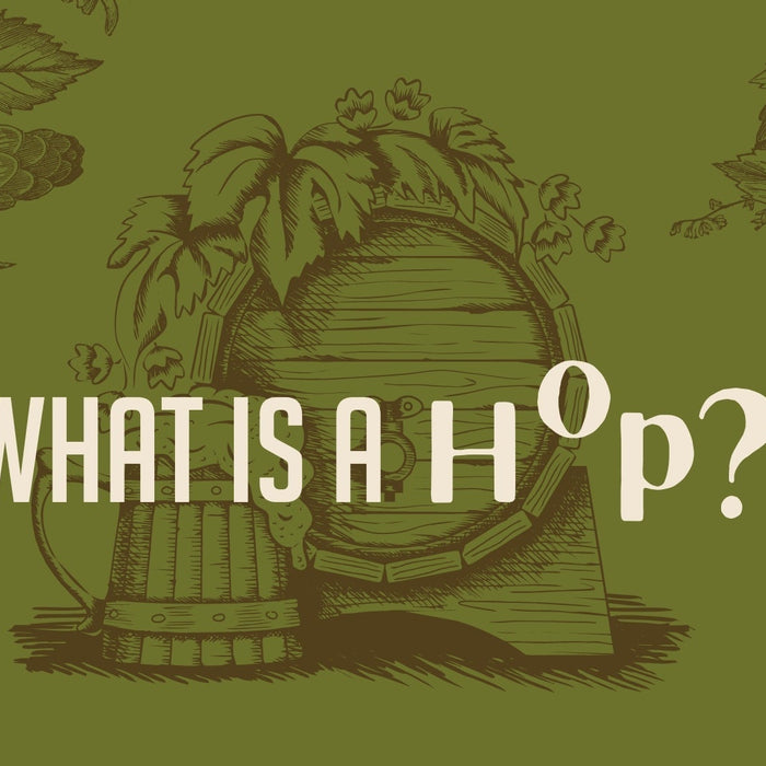 What is a Hop? Blog