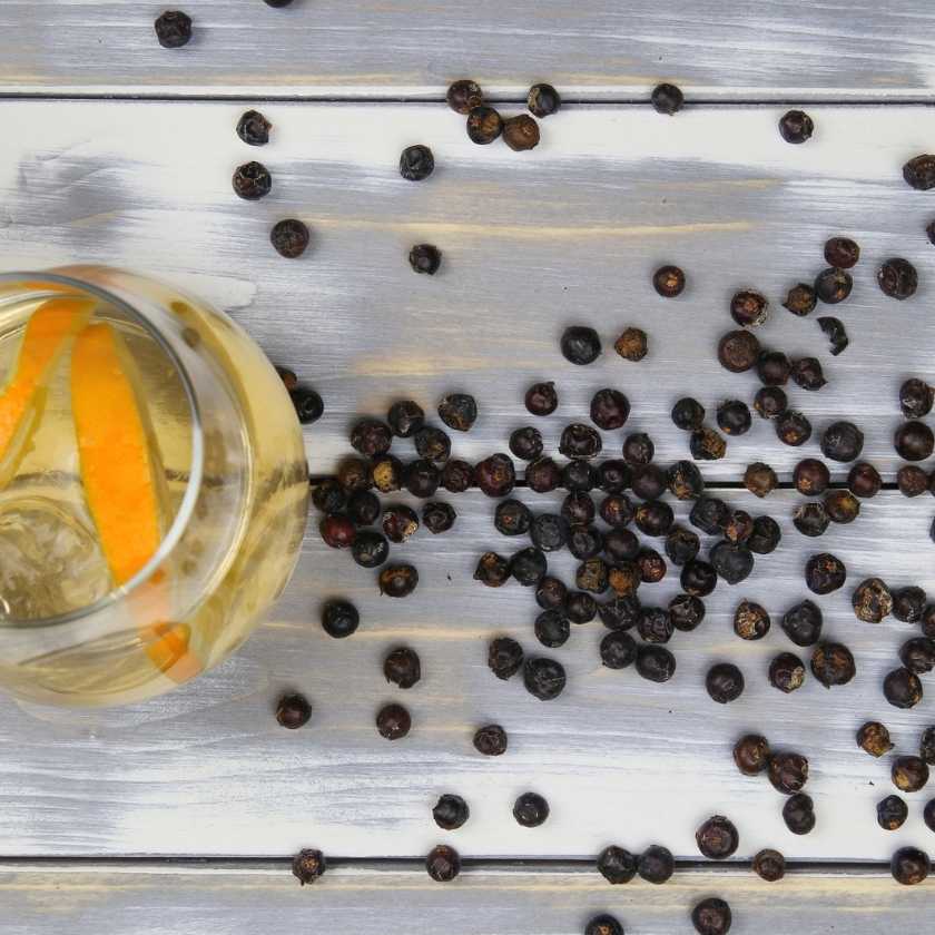 Gin Botanicals