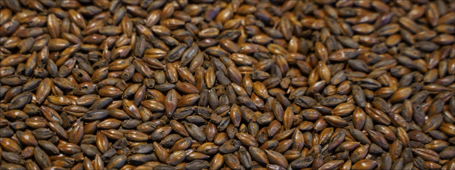 Voyager Roasted Barley Malt